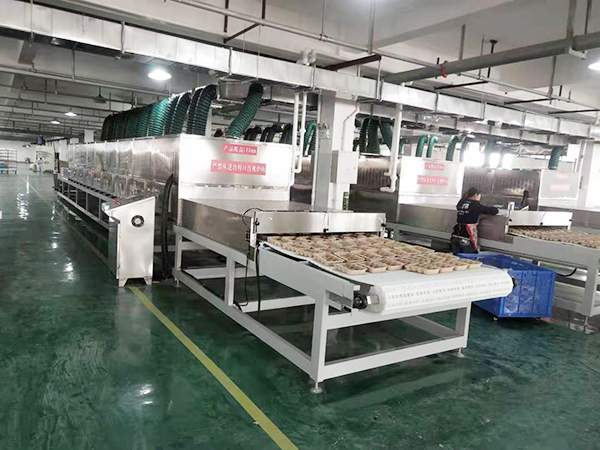 微波烘干设备