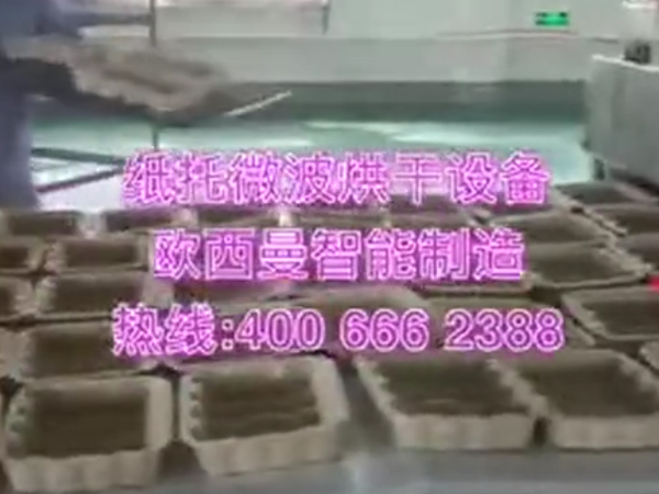 纸托微波烘干设备